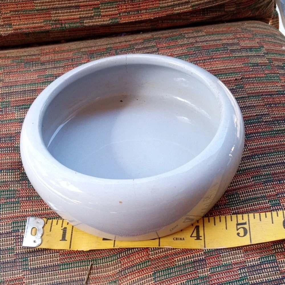 Generic Meal Worm Feeding Dishes.